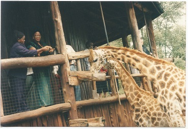 Rose with Cey at the Giraffe Centre in Nairobi, Kenya